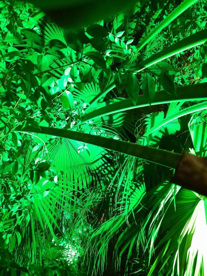 Sentirse En Casa Villa Puerto Iguazú Dış mekan fotoğraf